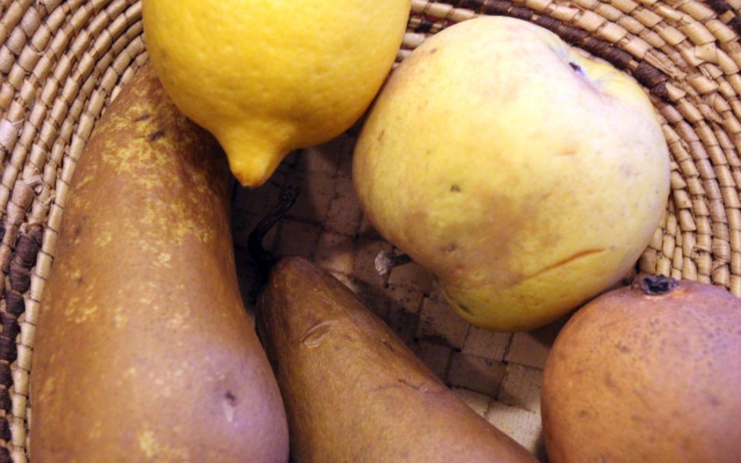 Alimentation – 27 mars 2017 – Atelier 7. Les vitamines, minéraux, fibres dans les fruits et légumes (suite)